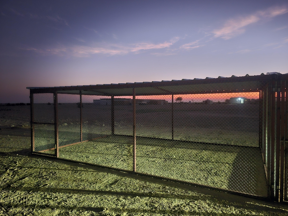Pigeon cage - 4