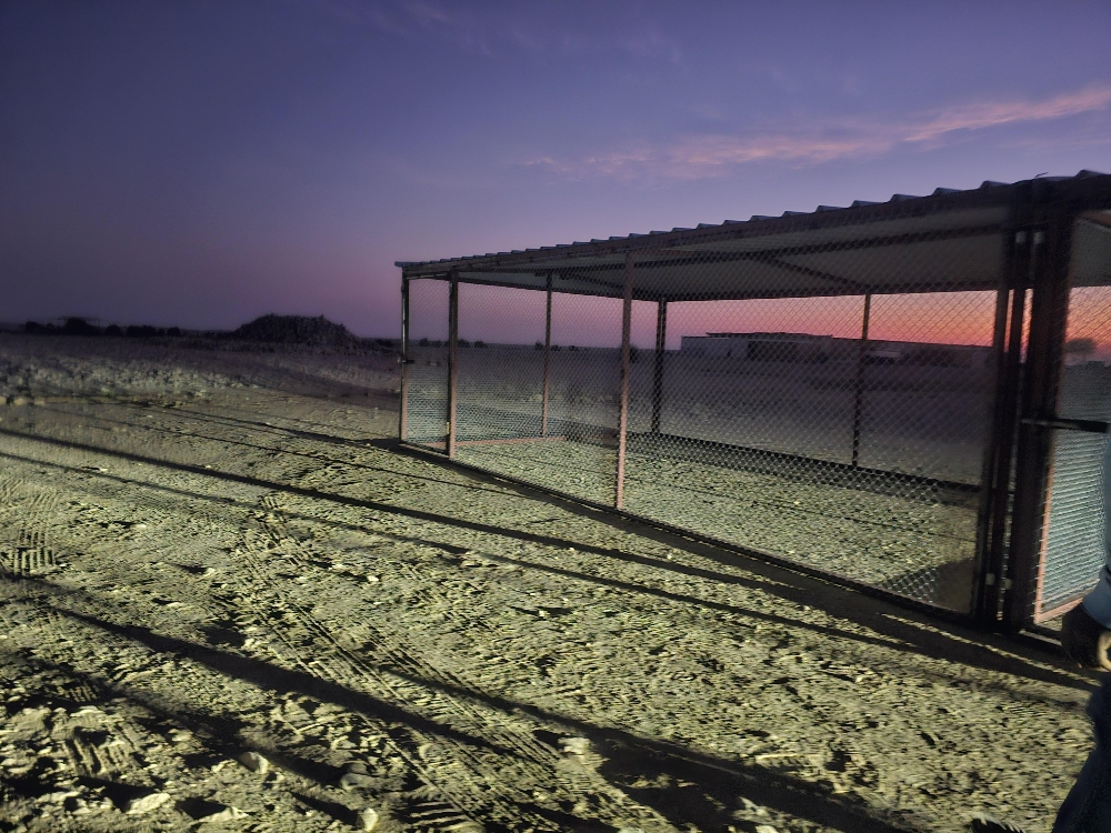 Pigeon cage - 5