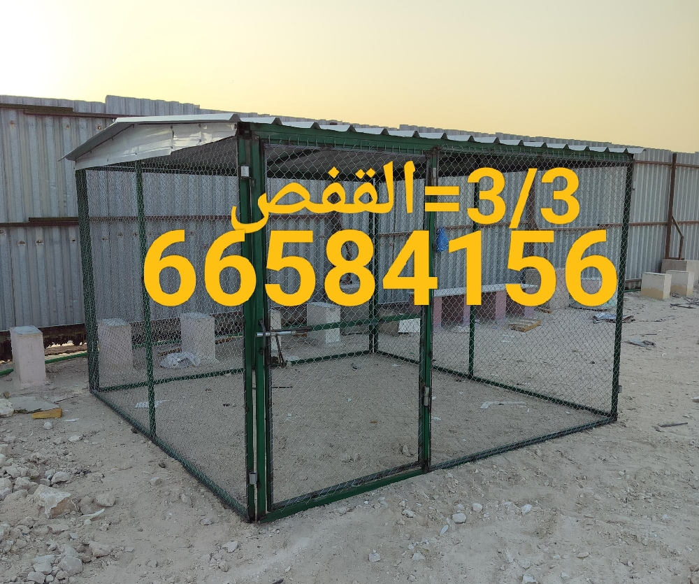 3/3=قفص جديد - 2