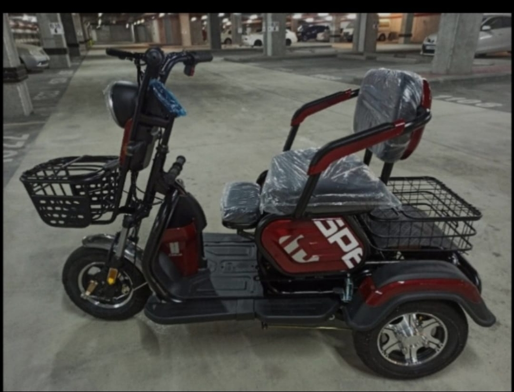 Elections scooter 48v - 1