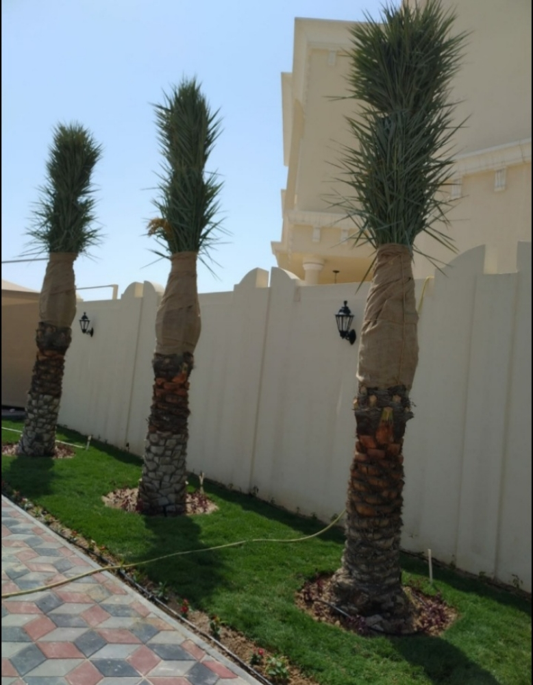 شركة زراعية - 13