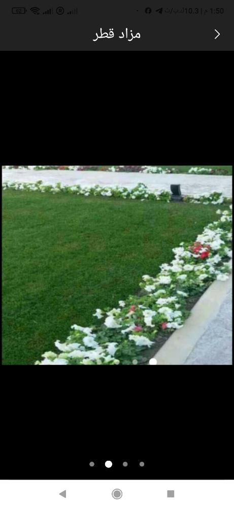 شركة زراعية - 9