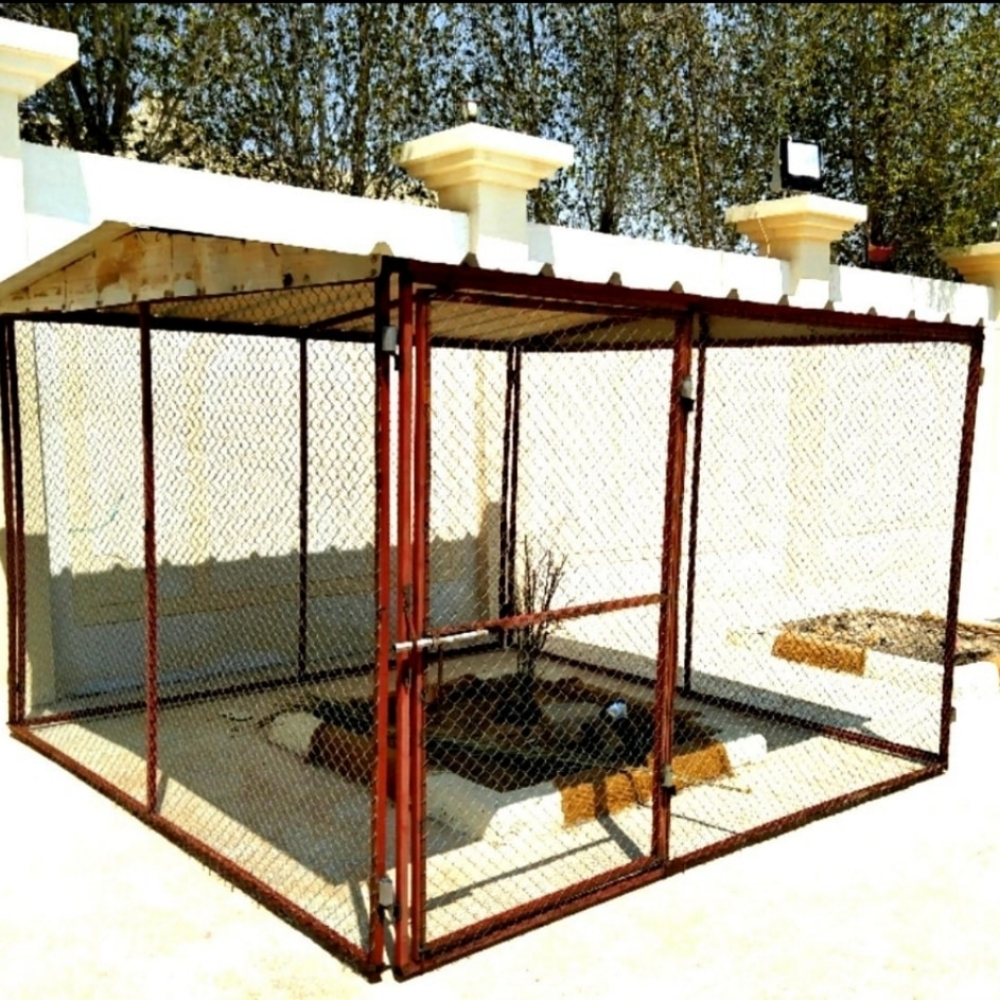 Gorpa - 2