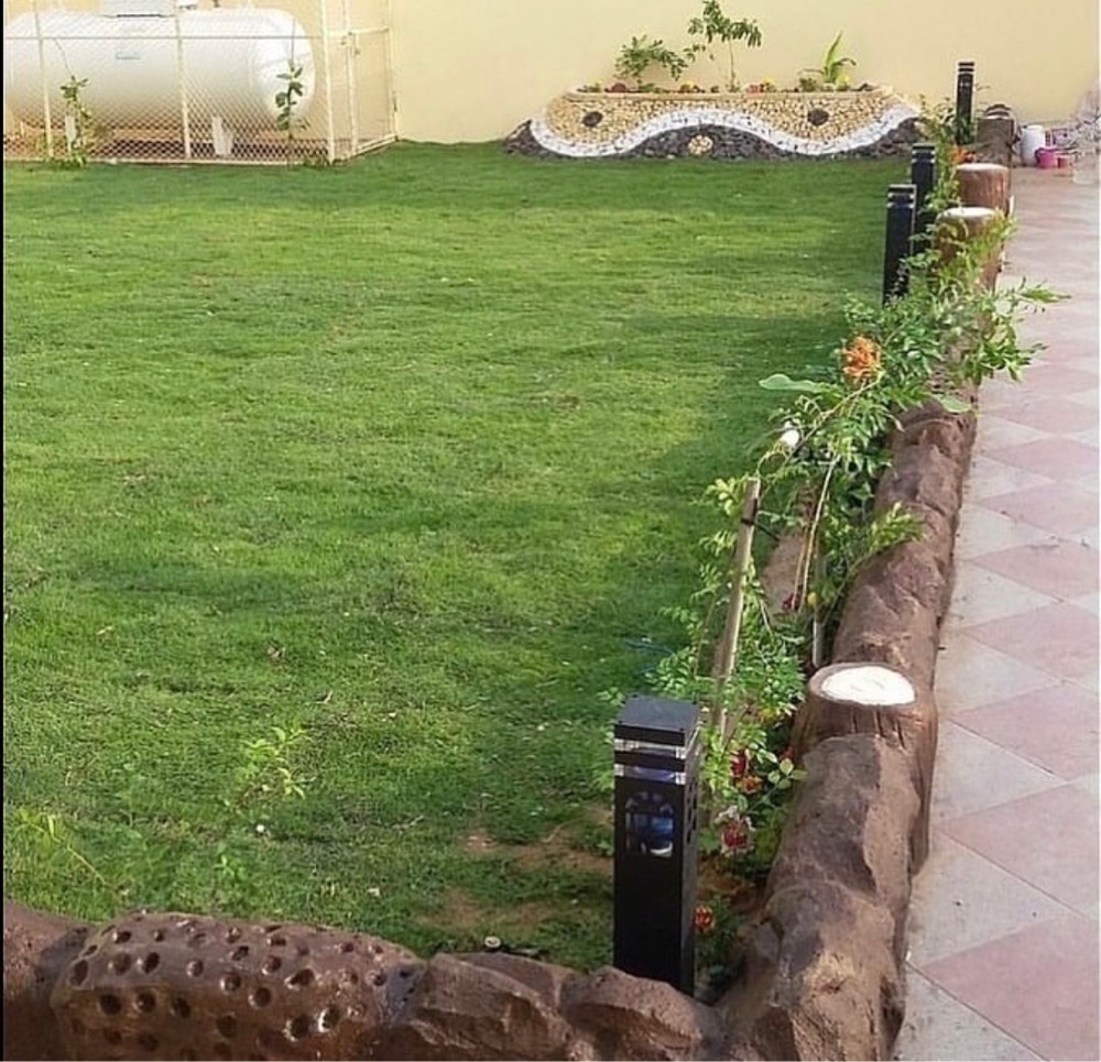 شتالات بالتمر - 3