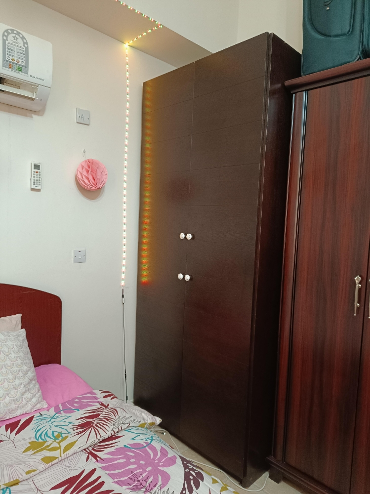 Large wardrobe - 2