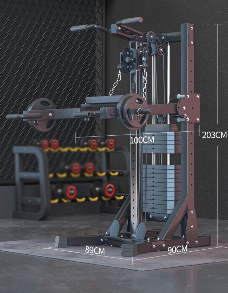 Pull ups Rows home gym squats - 3