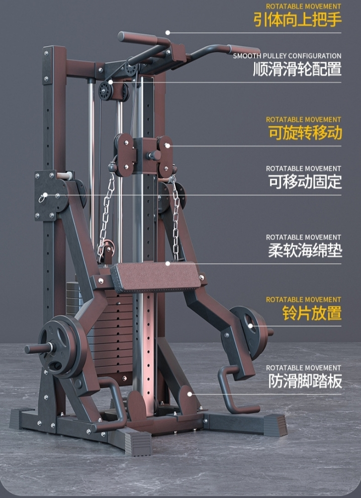 Pull ups Rows home gym squats - 4