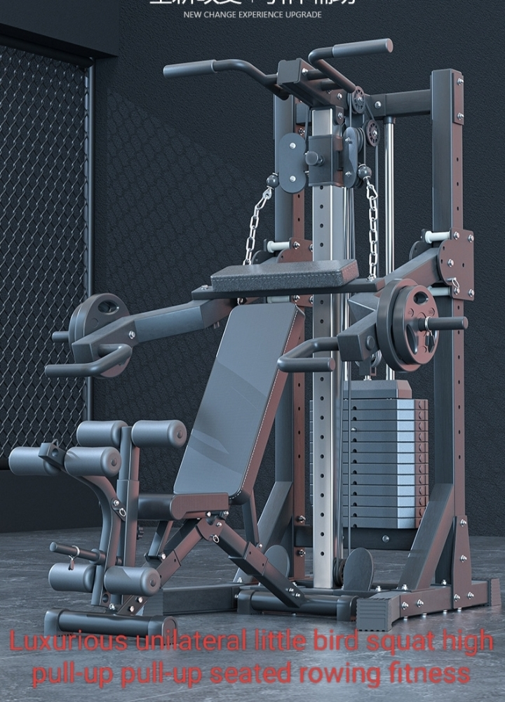 Pull ups Rows home gym squats - 1