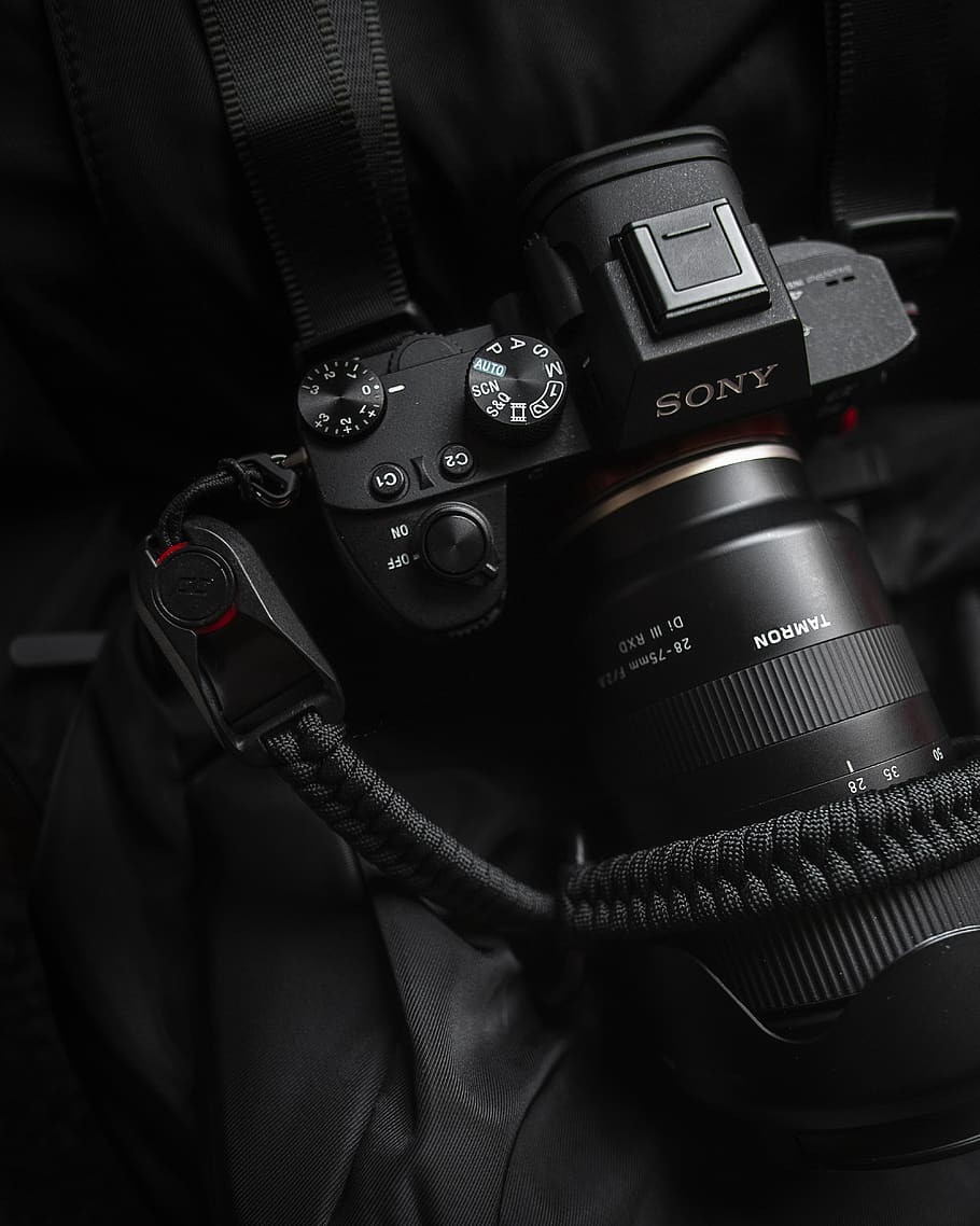 Photographer and videographer - 1