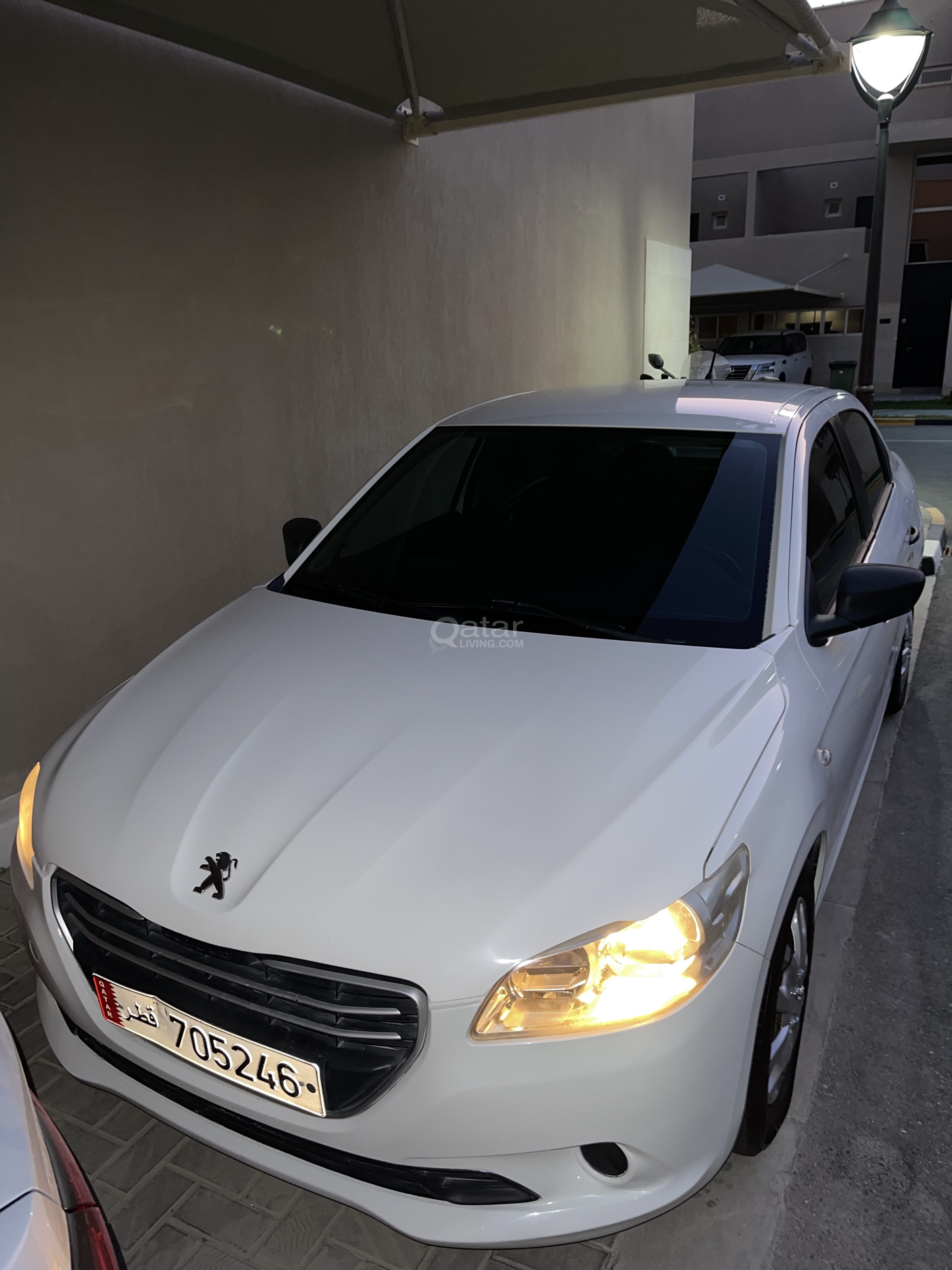 سيارة بيجو 301 عائلية مستعملة - 2