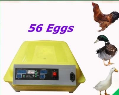 فقاسة ٥٦ بيضة جديدة اوتوماتيكية - 3