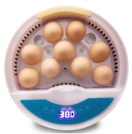 9 eggs incubator - 9
