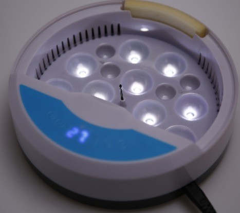 9 eggs incubator - 5