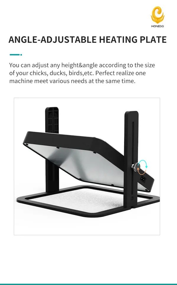 Brooding Pavilion adjustable - 6