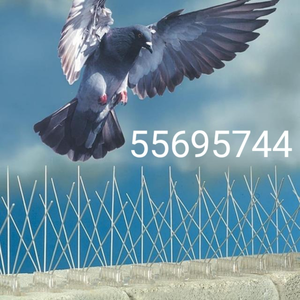 مانع الحمام والطيور70277021 - 1