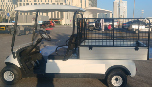 QATAR Golfcart Battery Supplier - 2