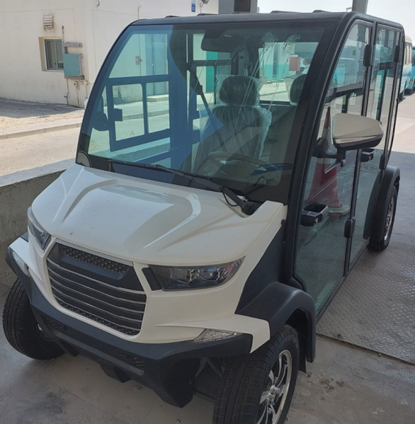 QATAR Golfcart Battery Supplier - 6