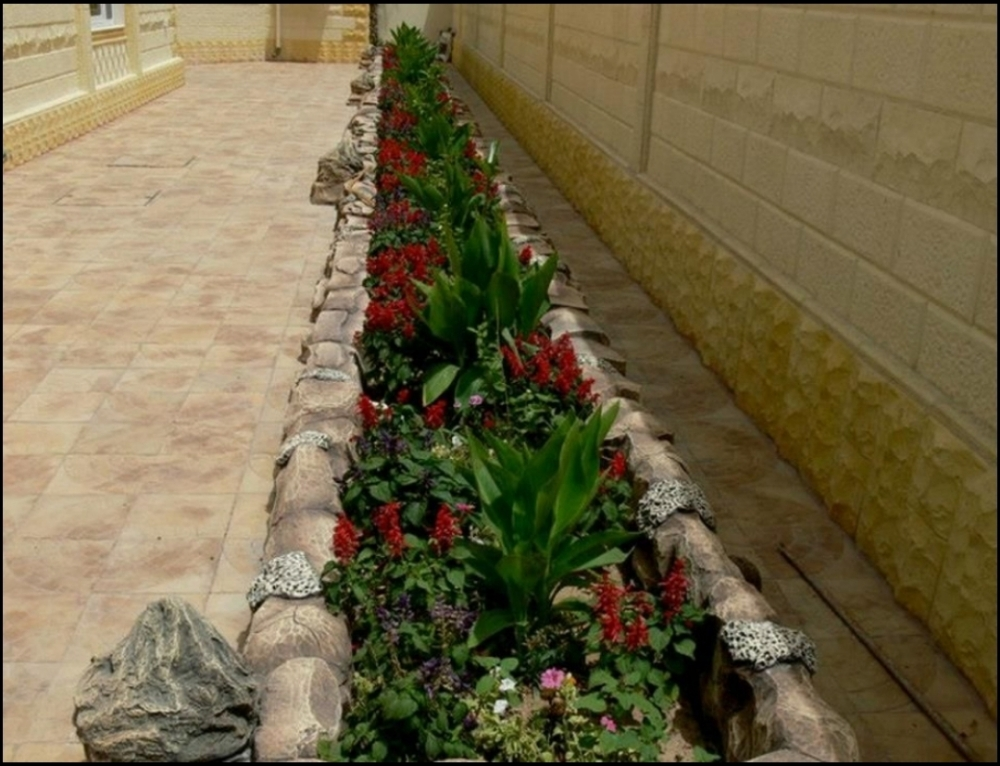 زراعة وتنسيق - 2