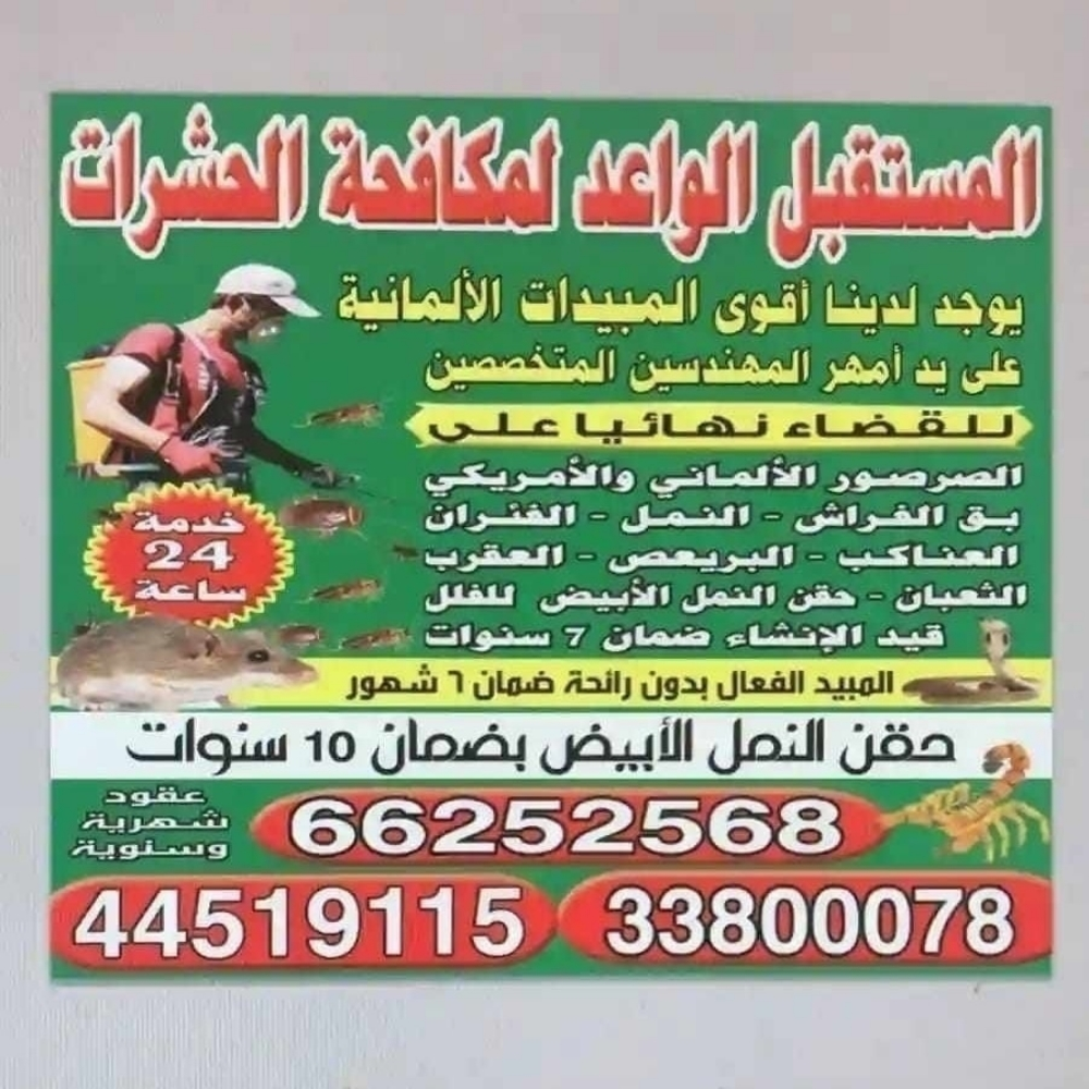 المستقبل الواعد - 1