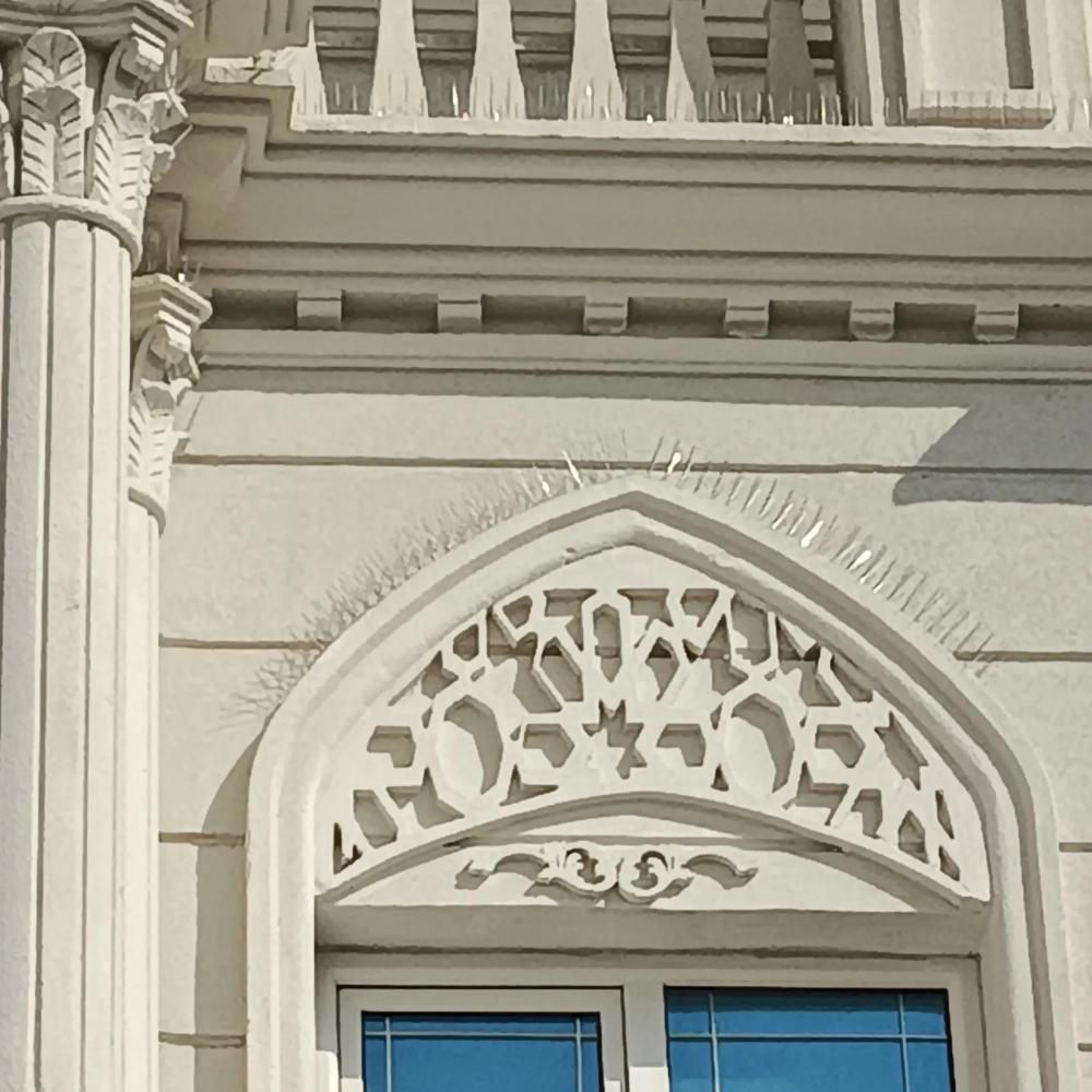 طارد الحمام والطيور 55475809 - 13