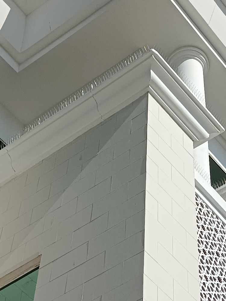 طارد الحمام والطيور 55475809 - 2