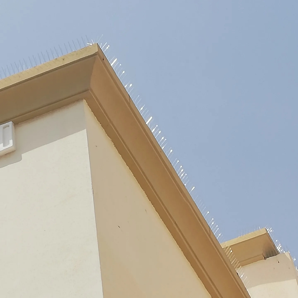 طارد الحمام والطيور 55475809 - 15