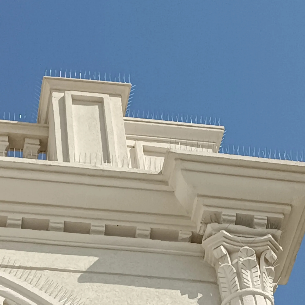 طارد الحمام والطيور 55475809 - 9