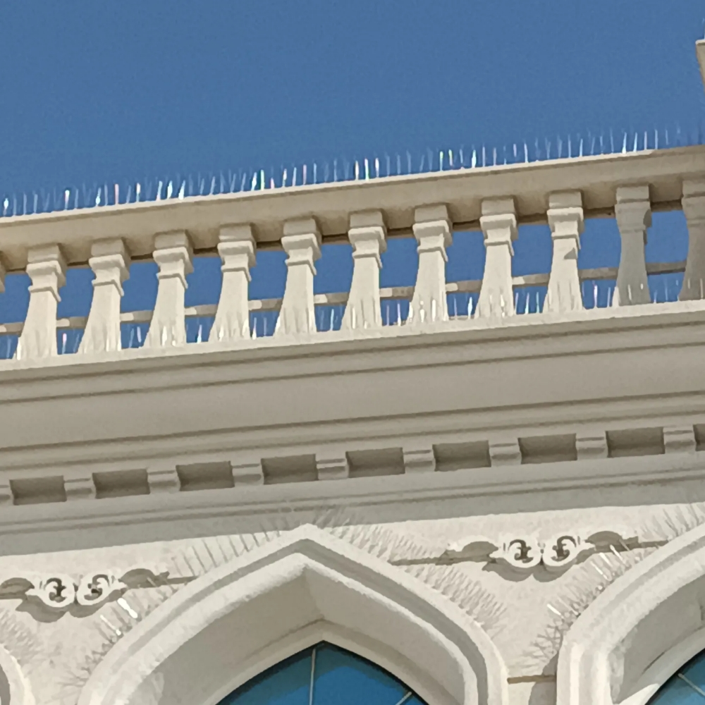 طارد الحمام والطيور 55475809 - 12