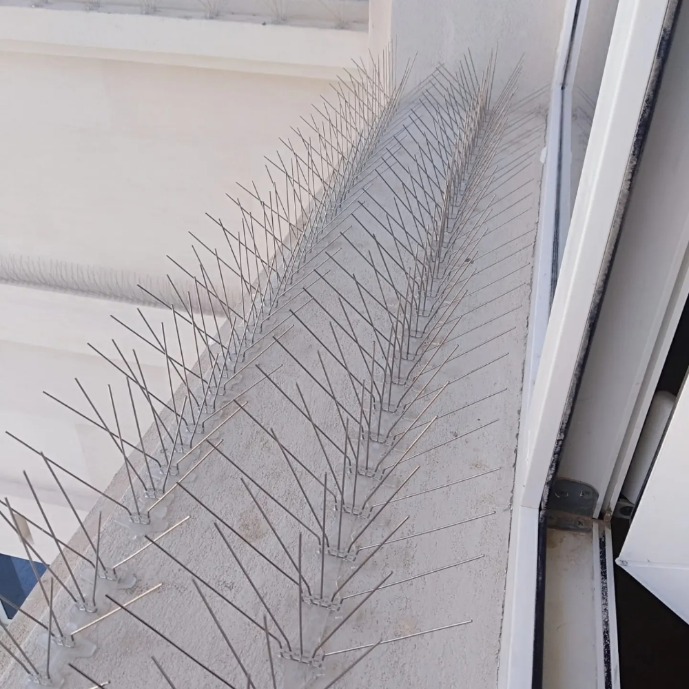 bird spiks - 2