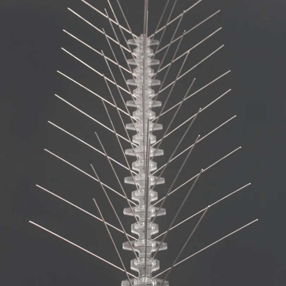 bird spiks - 3