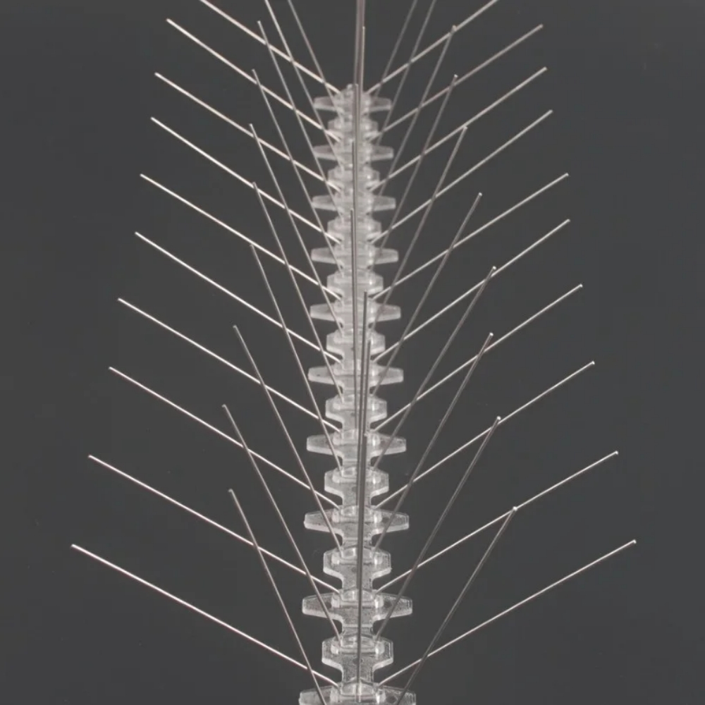 bird spiks - 5