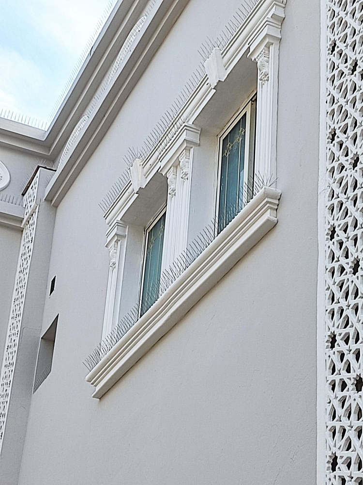 طاردمانع الحمام الطيور55270957 - 11
