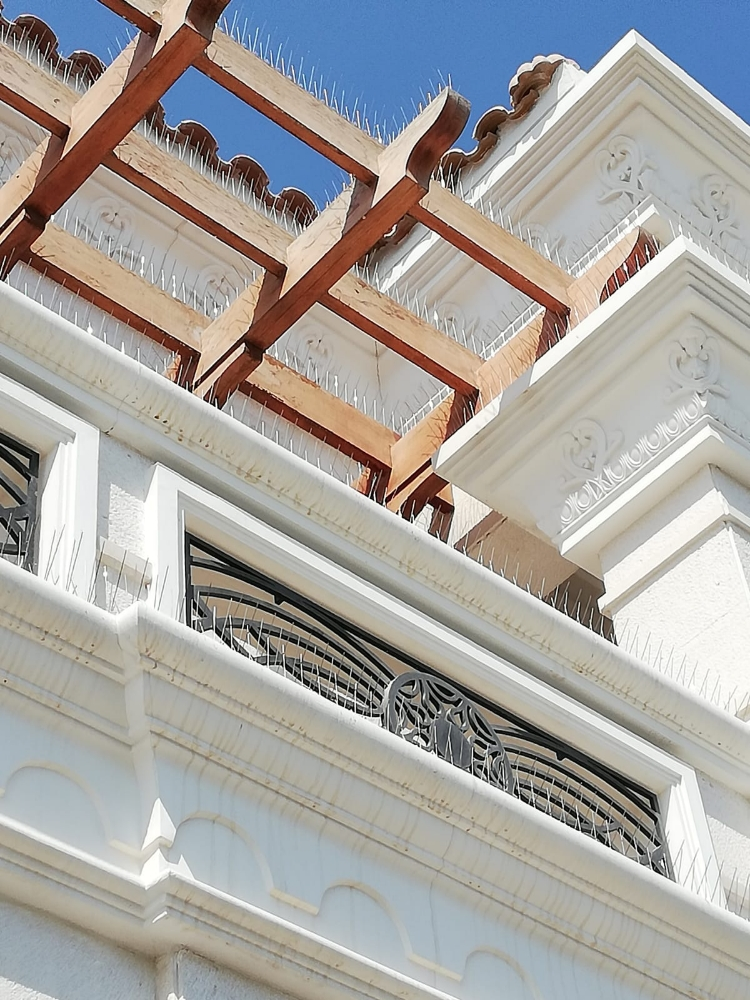 طاردمانع الحمام الطيور55270957 - 3
