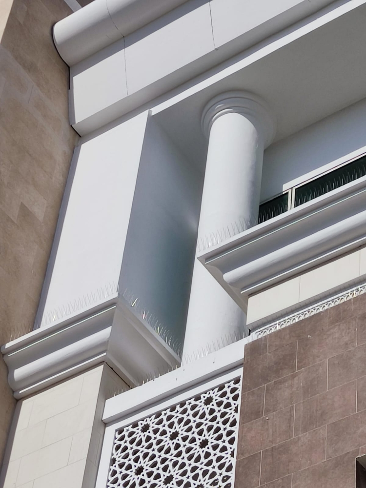 طاردمانع الحمام الطيور55270957 - 6