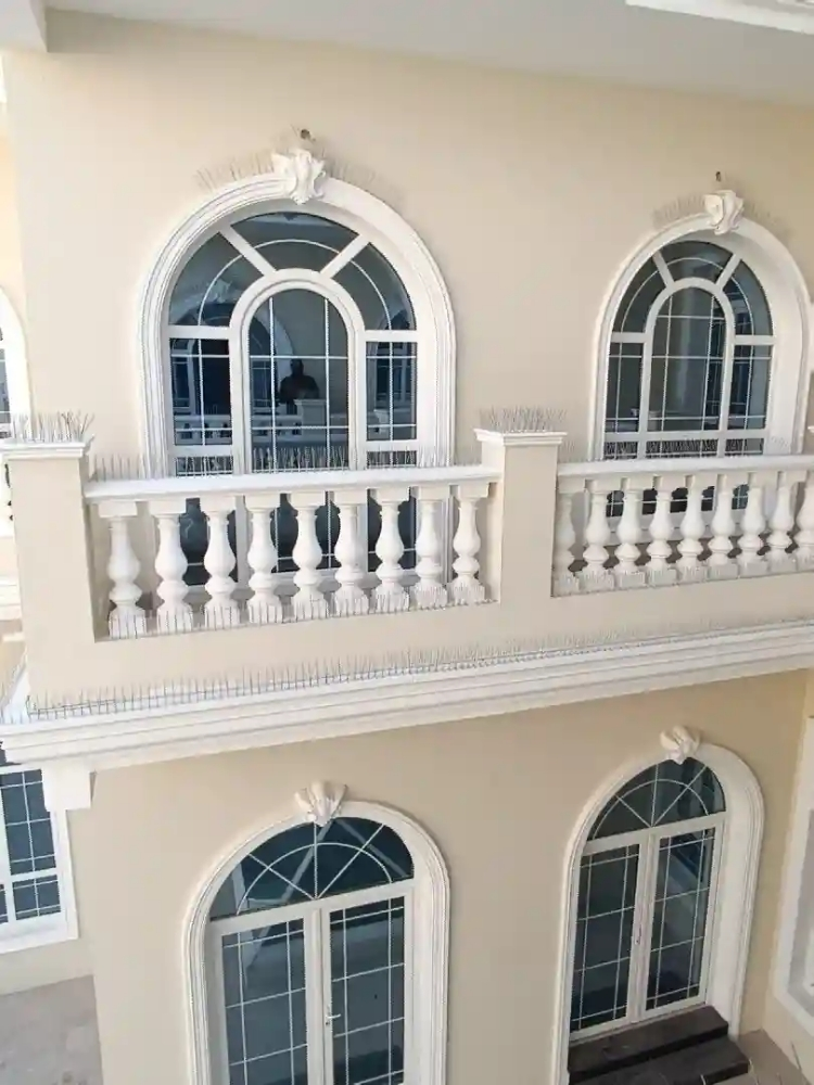 طارد الطيوروالحمام55695744 - 12
