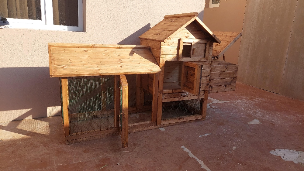 animals house - 3