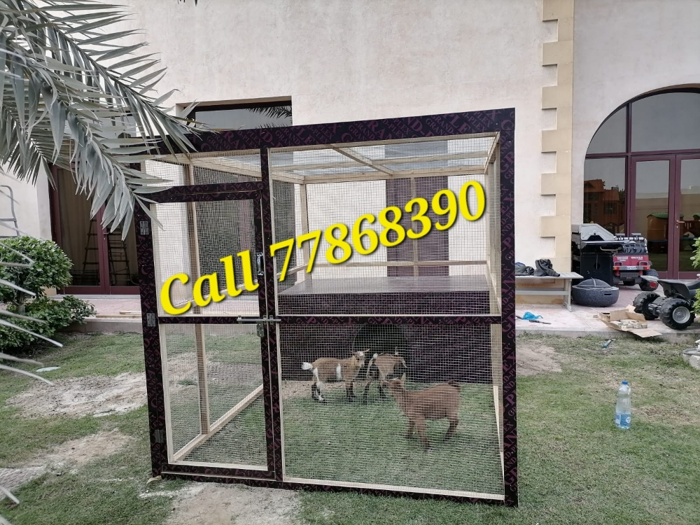 animals house - 4