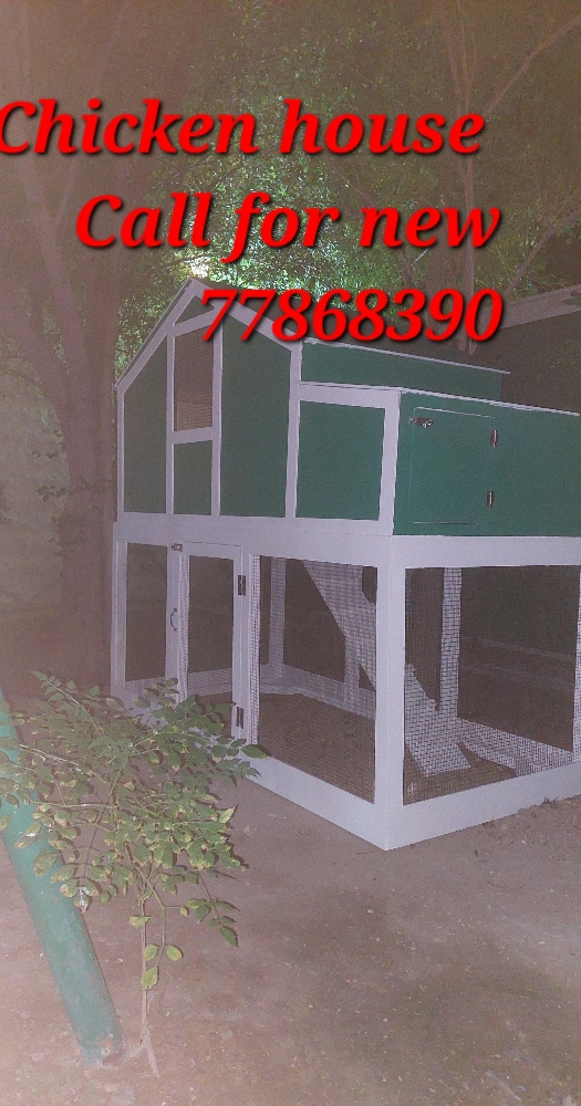 animals house - 6