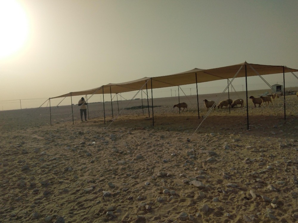 الفرج  - 1