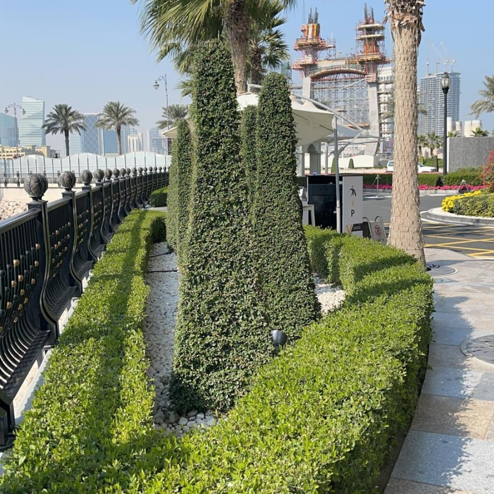 متخصصون فى عمل الحدائق - 8