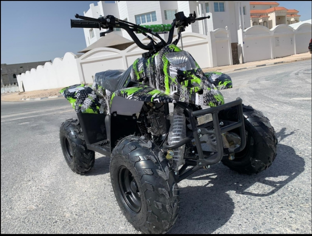 budbuda  patrol 110 cc - 4