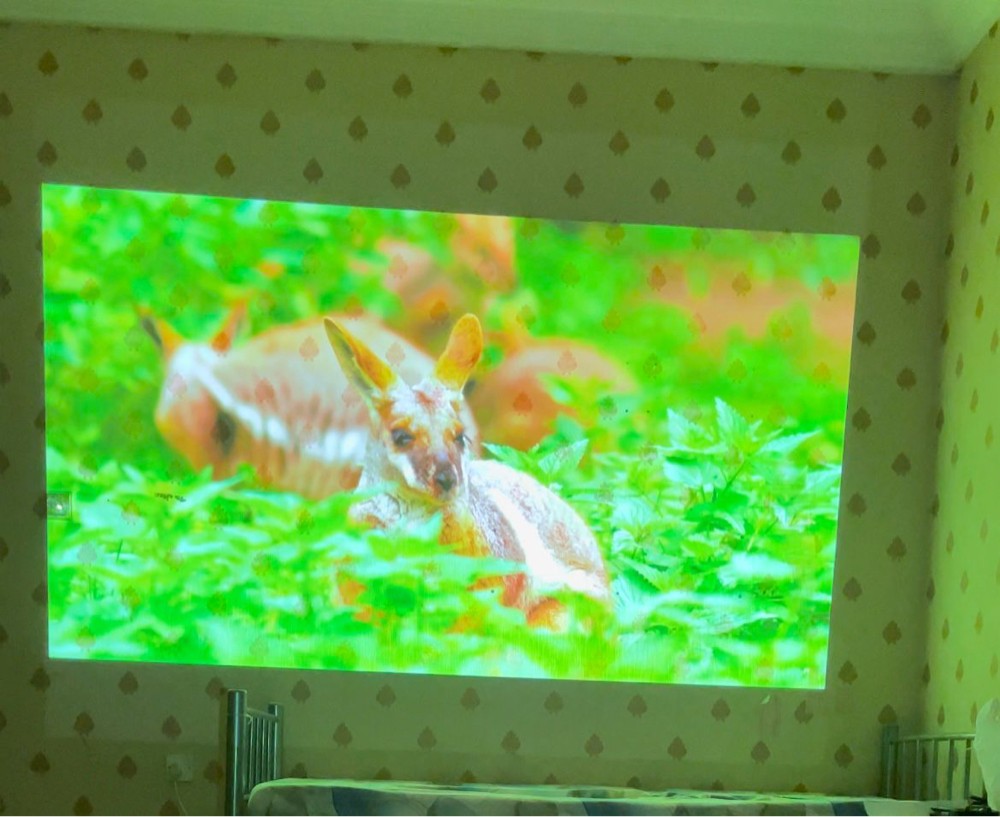 Panasonic DLP Projector - 5