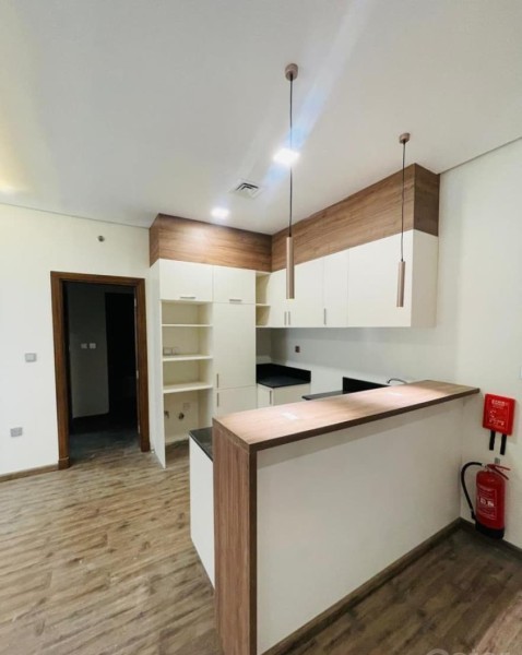 *NO COMMISSION* Luxury 1- BHK Furnished Apartments At Old Airport including all utilities. - 4