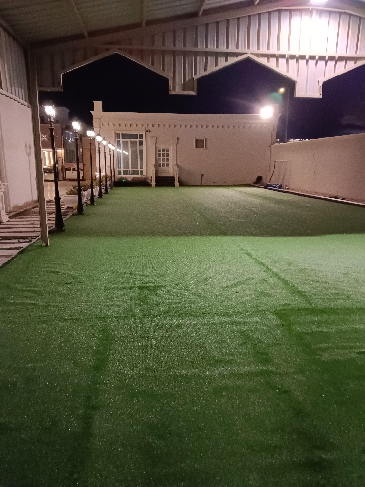 Grass and light fixing - 4