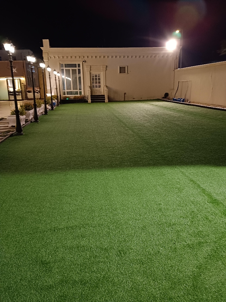 Grass and light fixing - 3