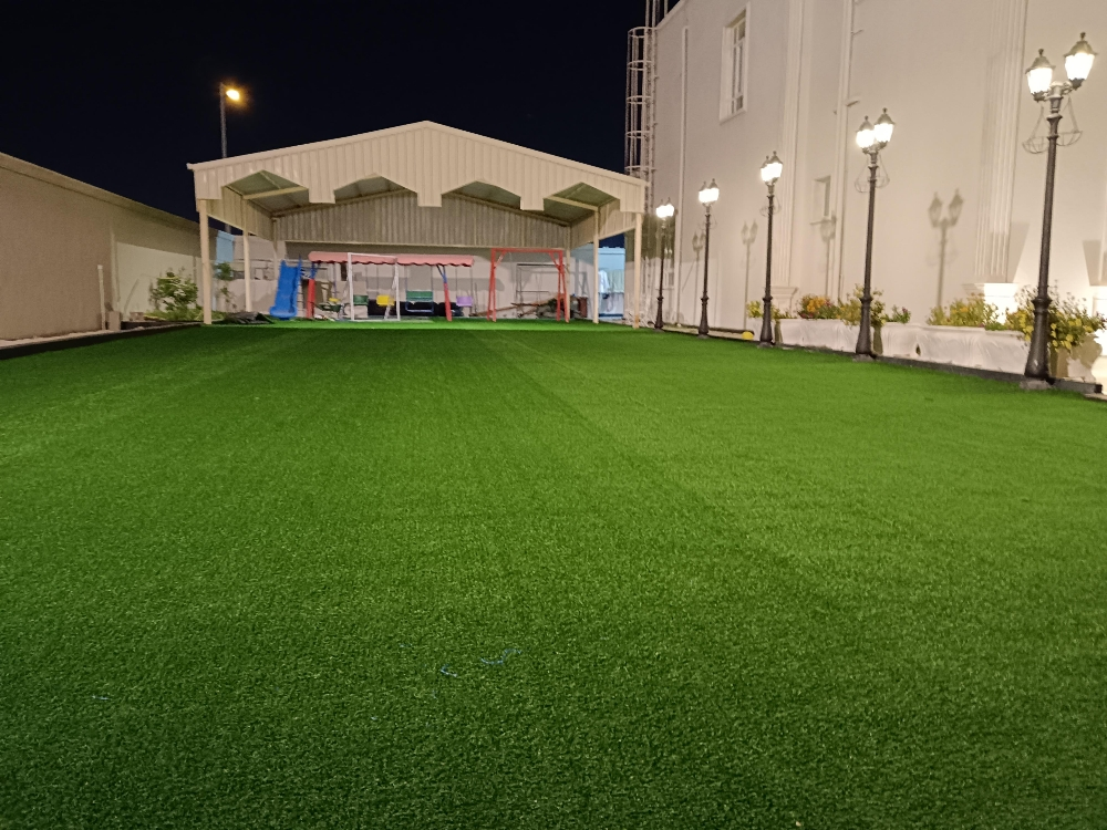 Grass and light fixing - 2