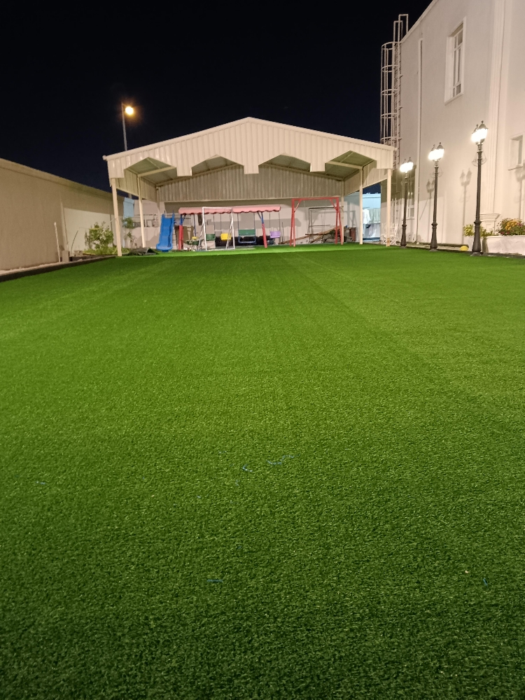 Grass and light fixing - 1
