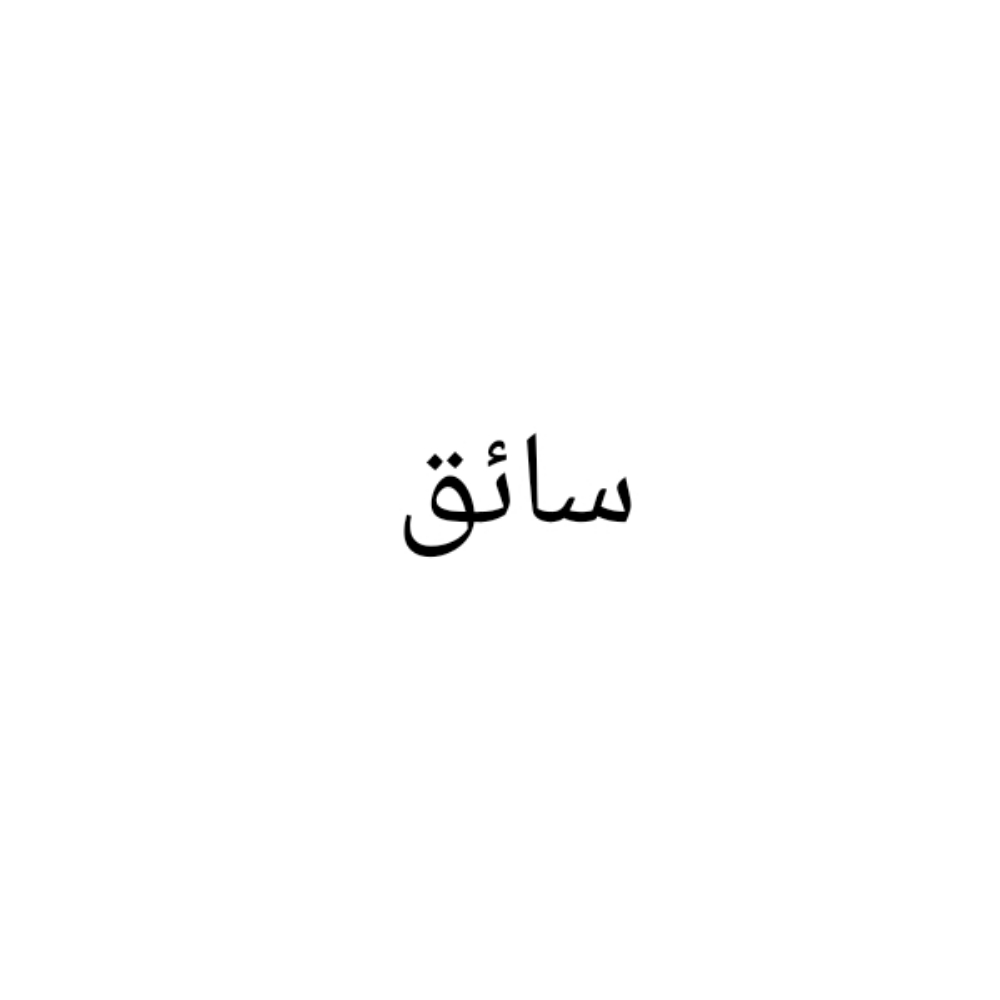 سائق مصري صعيدي - 1