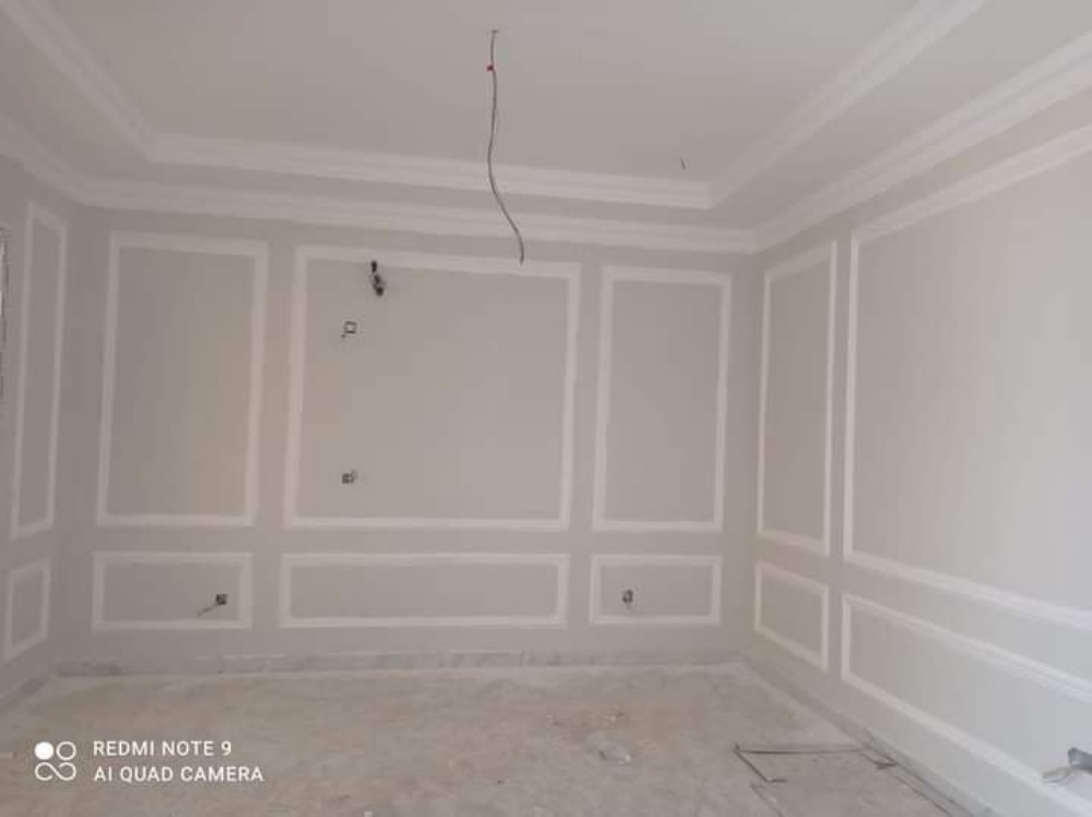 painting any work in house - 10