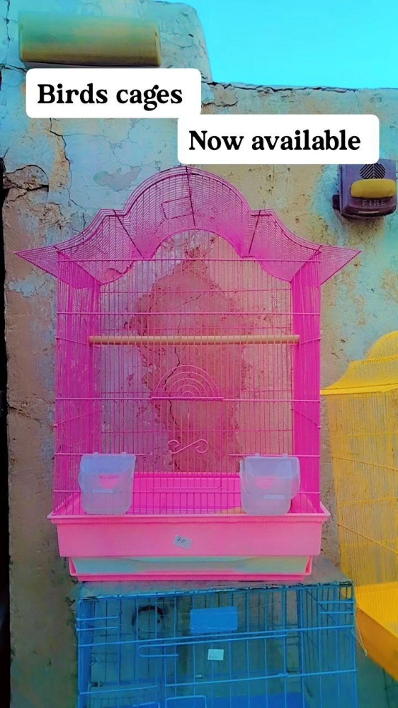 birds cages - 1